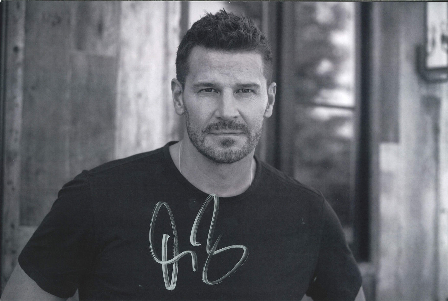 David Boreanaz Autograph