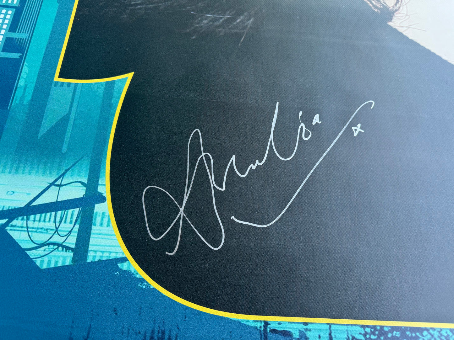 Amelia Tyler Auction signed large PVC banner - FACTS Spring 2026