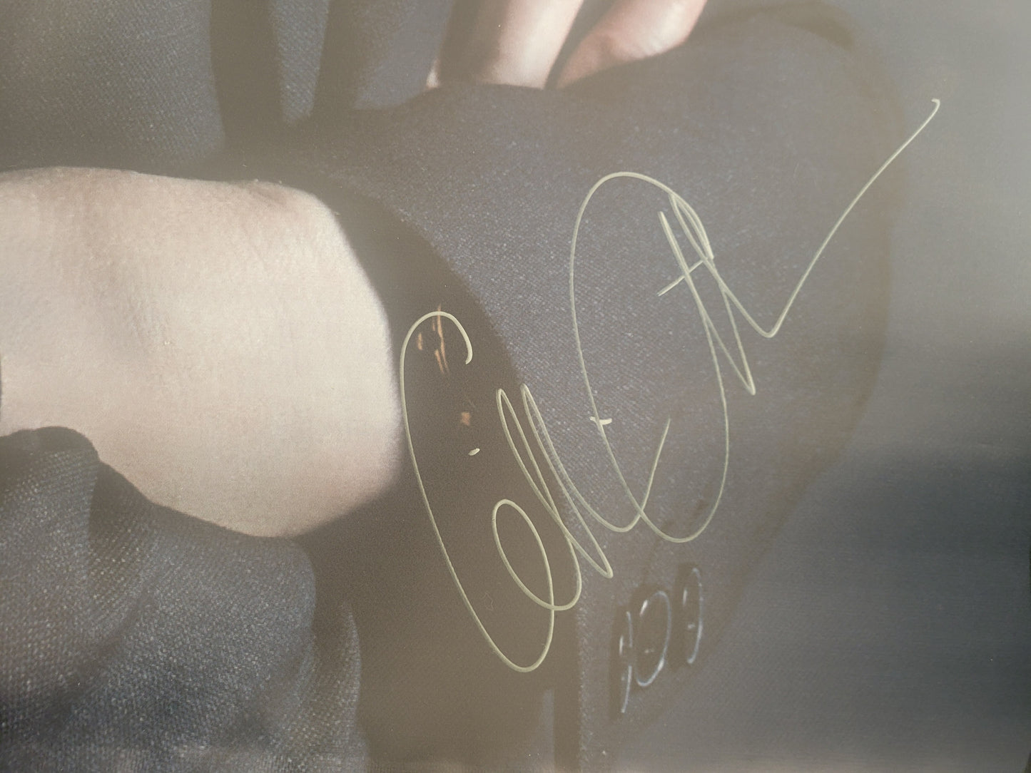 Gillian Anderson signed large PVC banner - Heroes Comic Con 2025