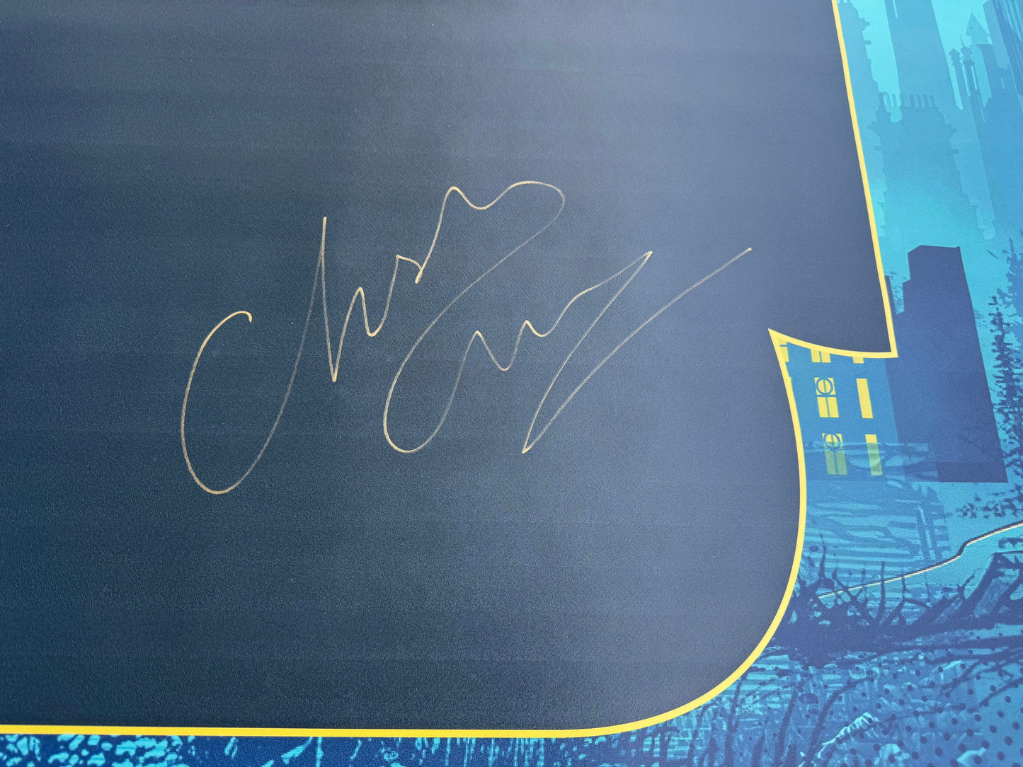 Christian Coulson Auction signed large PVC banner - FACTS Spring 2026